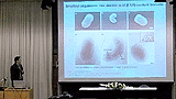 Lszl G. Pusks: Nanobionts and the size limit of life