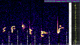 Quadrantids overdense meteors - Quadrantida overdense meteorok - 2015.01.04.