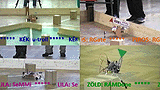 RGate, RAMDone, SeMMi, u-troll - 1. fordul 3. menet